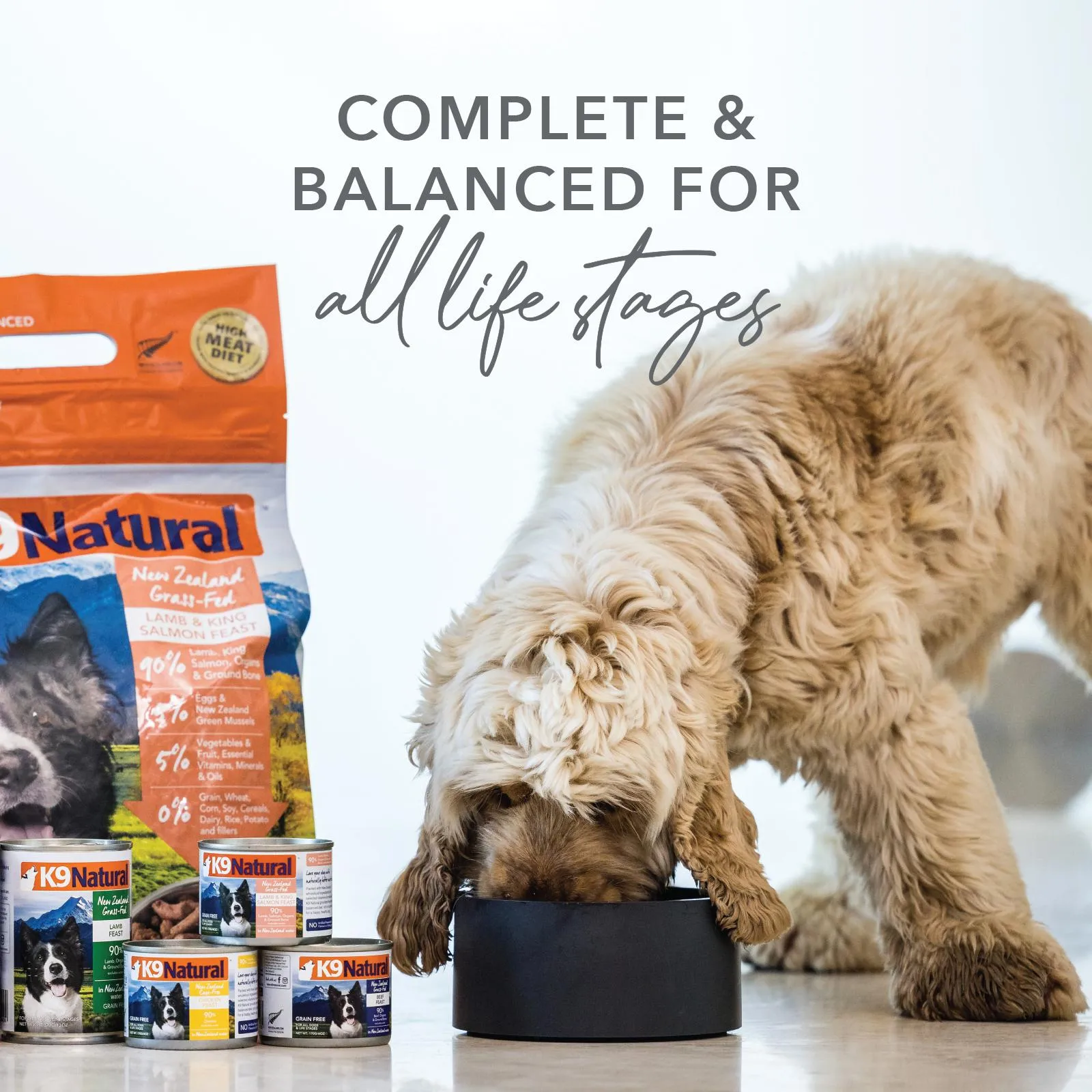 K9 Natural Beef Feast Wet Dog Food 370g x 12^^^