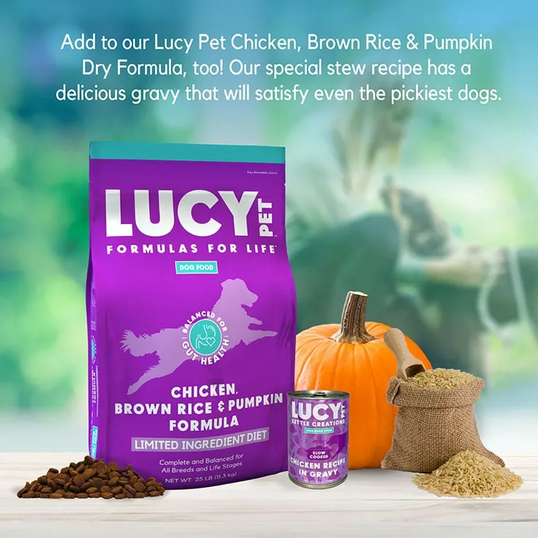 Lucy Pet Kettle Creations™ Chicken Dog Recipe in Gravy, Wet Dog Food, 12.5-oz Case of 12