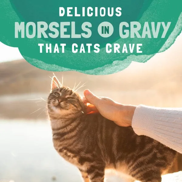 Natural Balance Platefulls Chicken & Salmon Recipe Morsels in Gravy Food Pouch