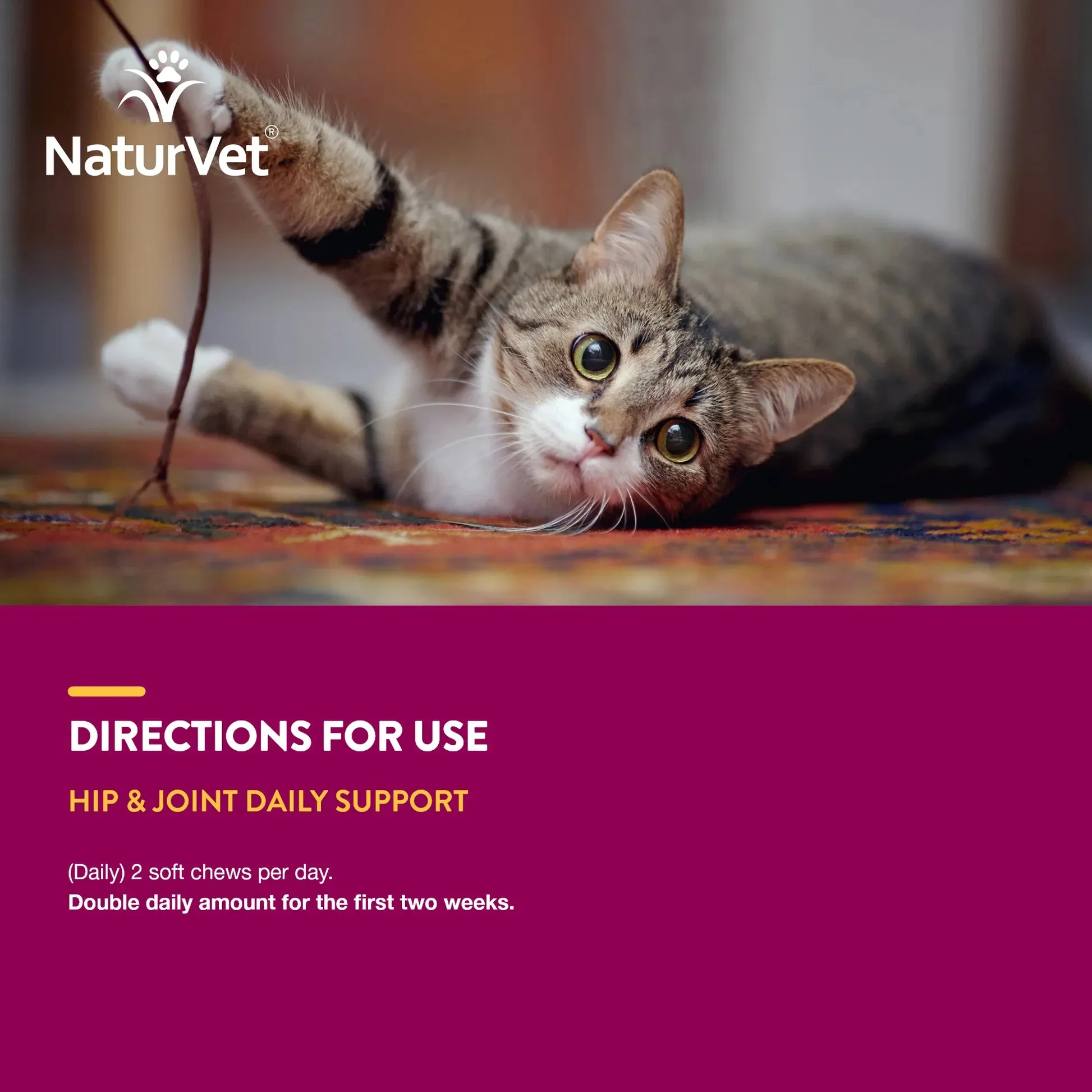 NaturVet Hip & Joint for Cats - 60 chew tabs