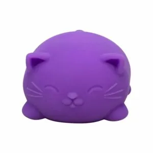 NeeDoh Cool Cats (1 Unit Assorted) by Schylling