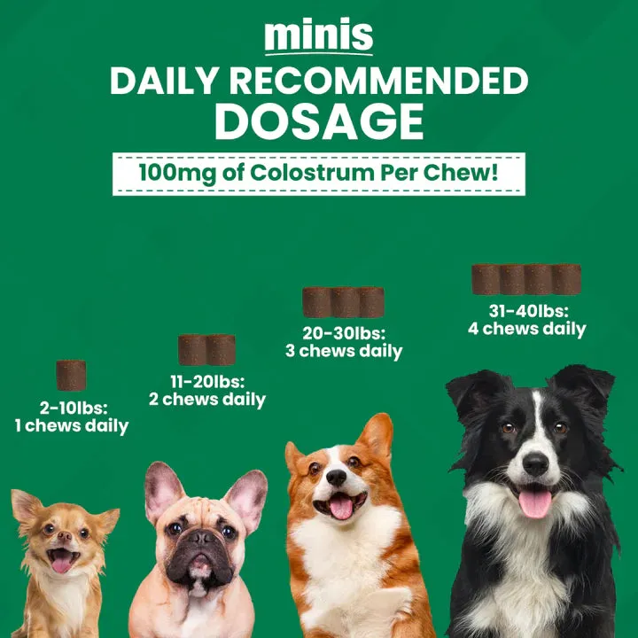 Nootie Progility Minis Allergy Relief 60-Count, Dog Supplement