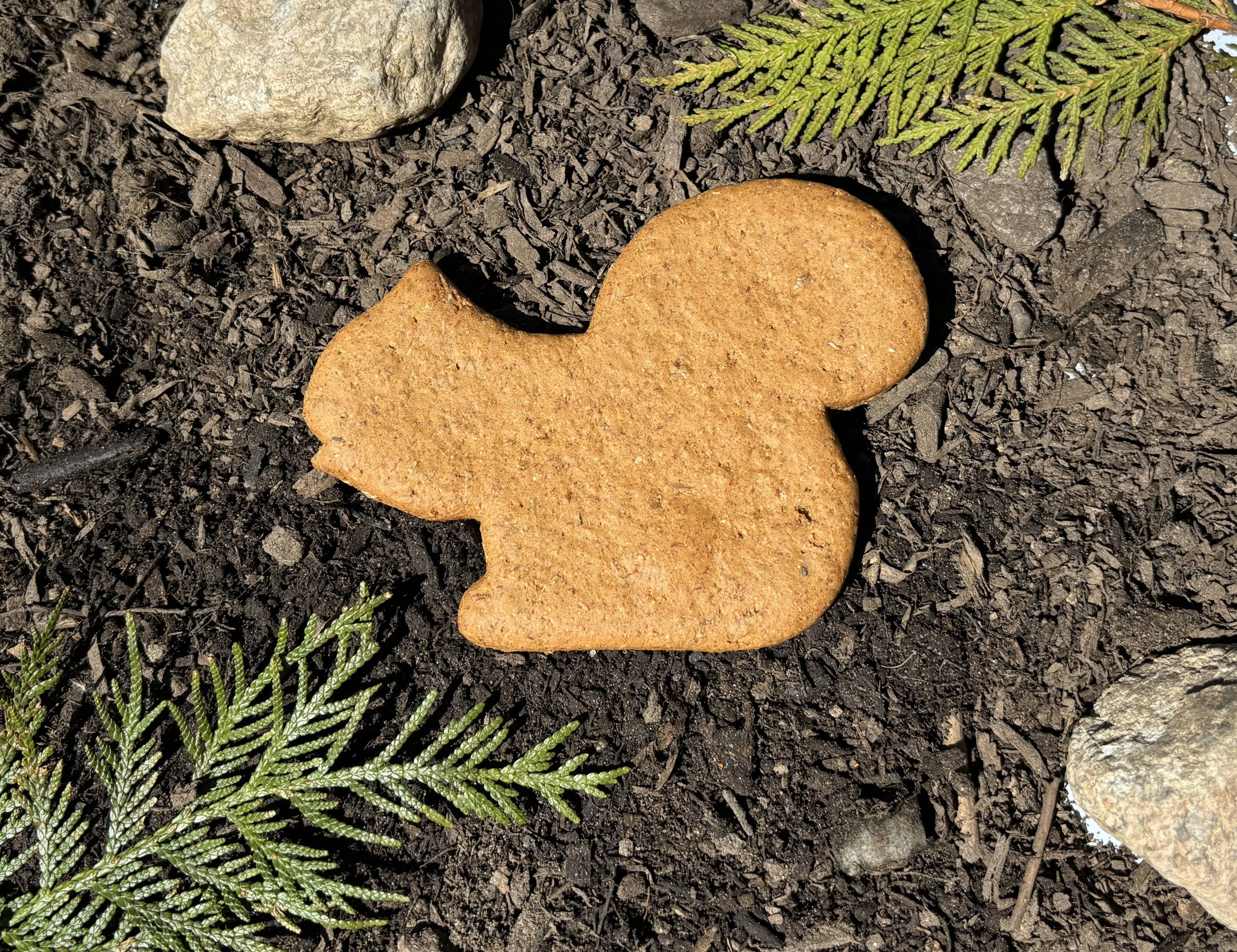 Pumpkin Squash Squirrel Dog Treats