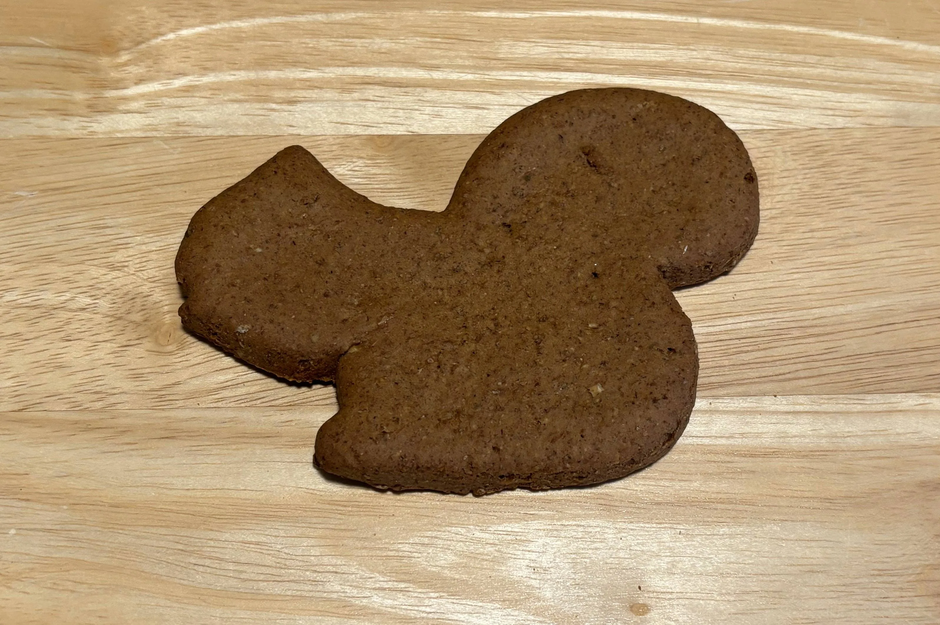 Pumpkin Squash Squirrel Dog Treats