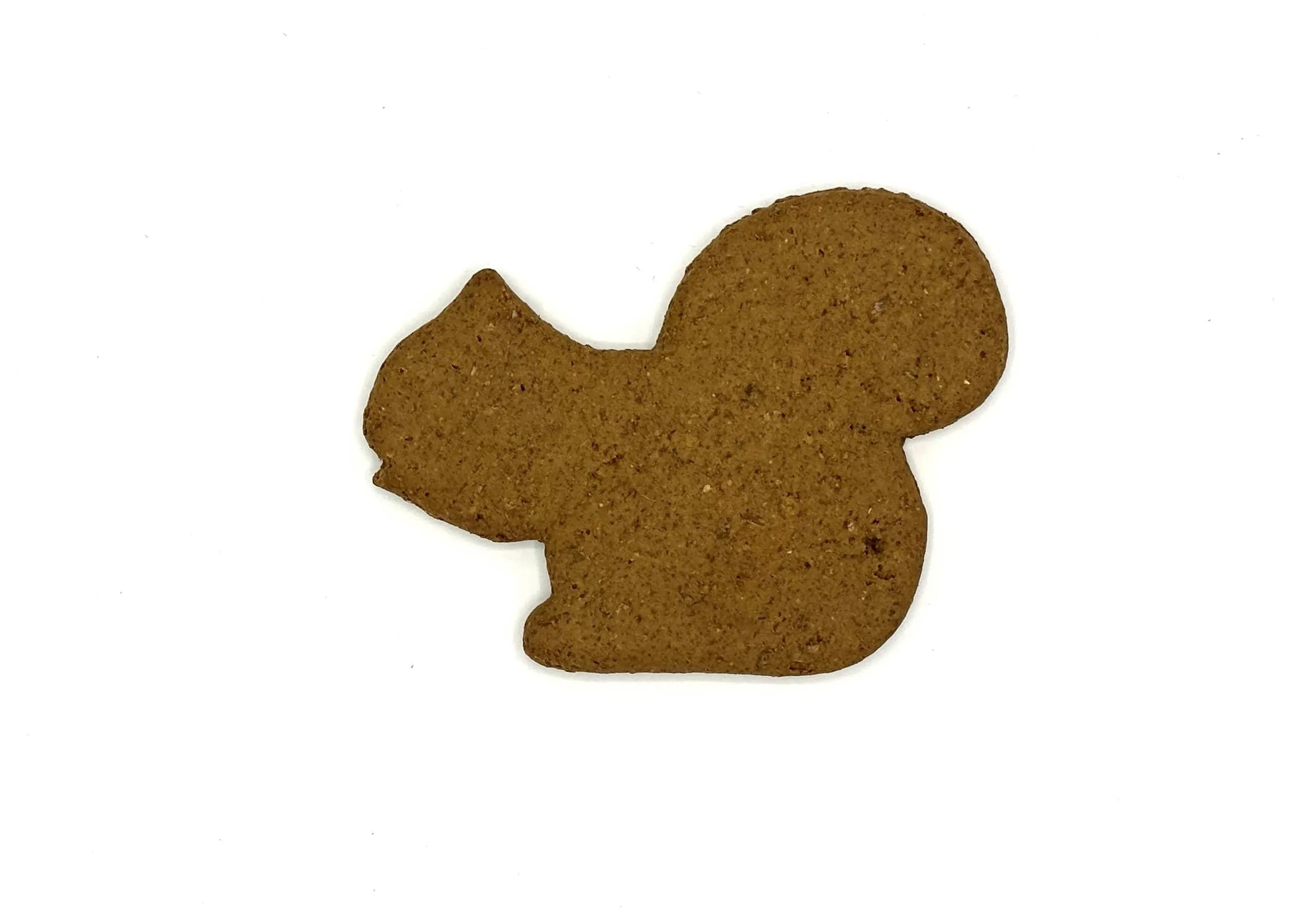 Pumpkin Squash Squirrel Dog Treats