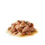 Royal Canin Cat Hair and Skin Care Gravy Adult Wet Food Pouch 85g^^^