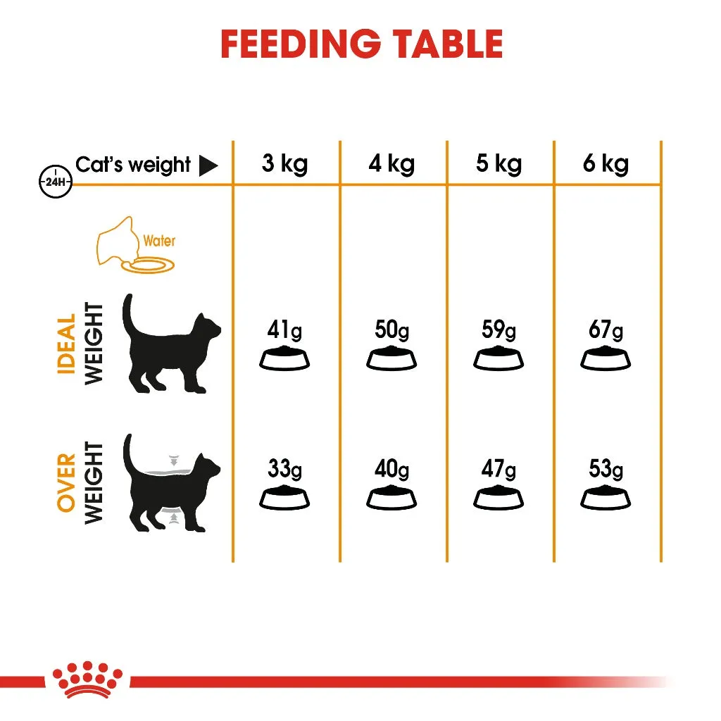 Royal Canin Hair & Skin Care 2kg Adult Dry Cat Food - Feline Care Nutrition