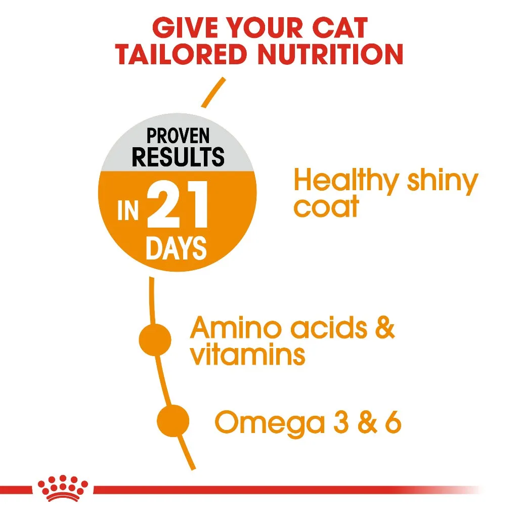Royal Canin Hair & Skin Care 2kg Adult Dry Cat Food - Feline Care Nutrition