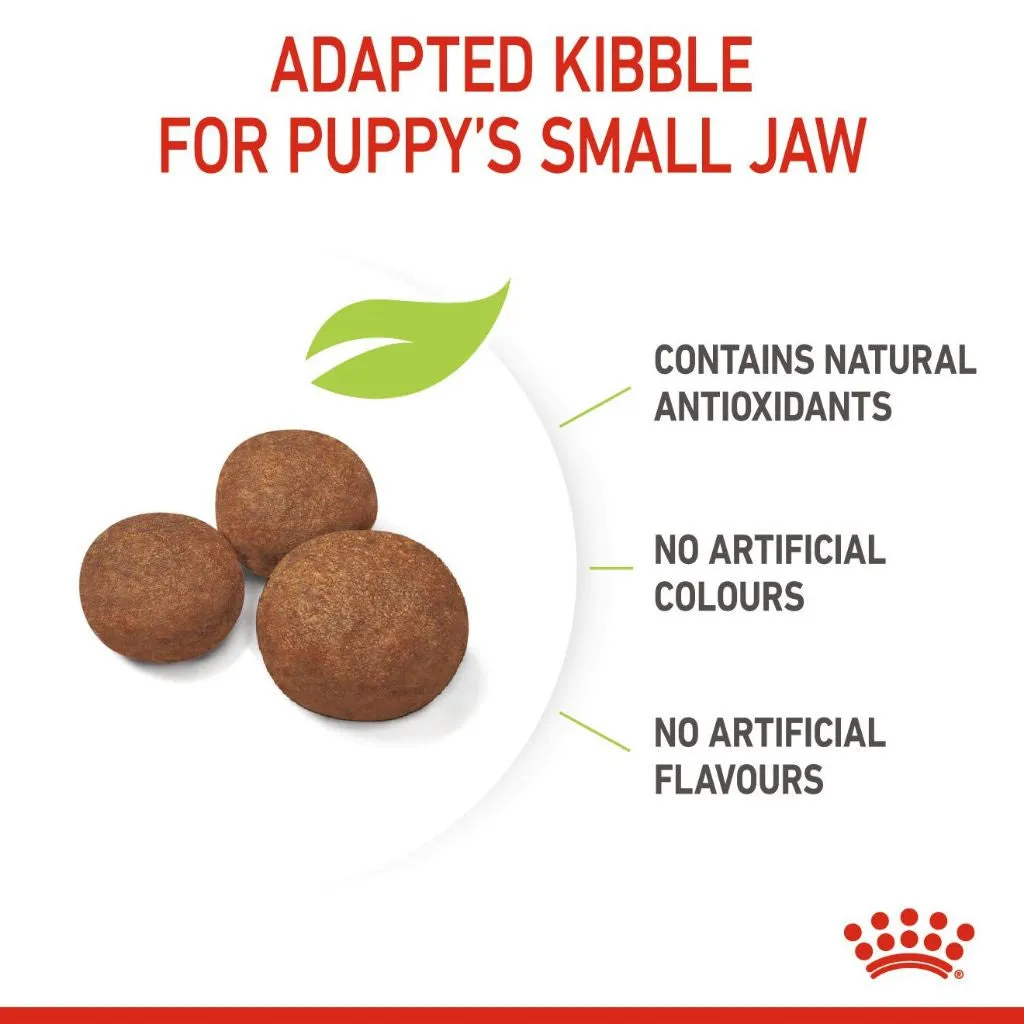 Royal Canin Medium Puppy 1kg Dry Dog Food - Size Health Nutrition