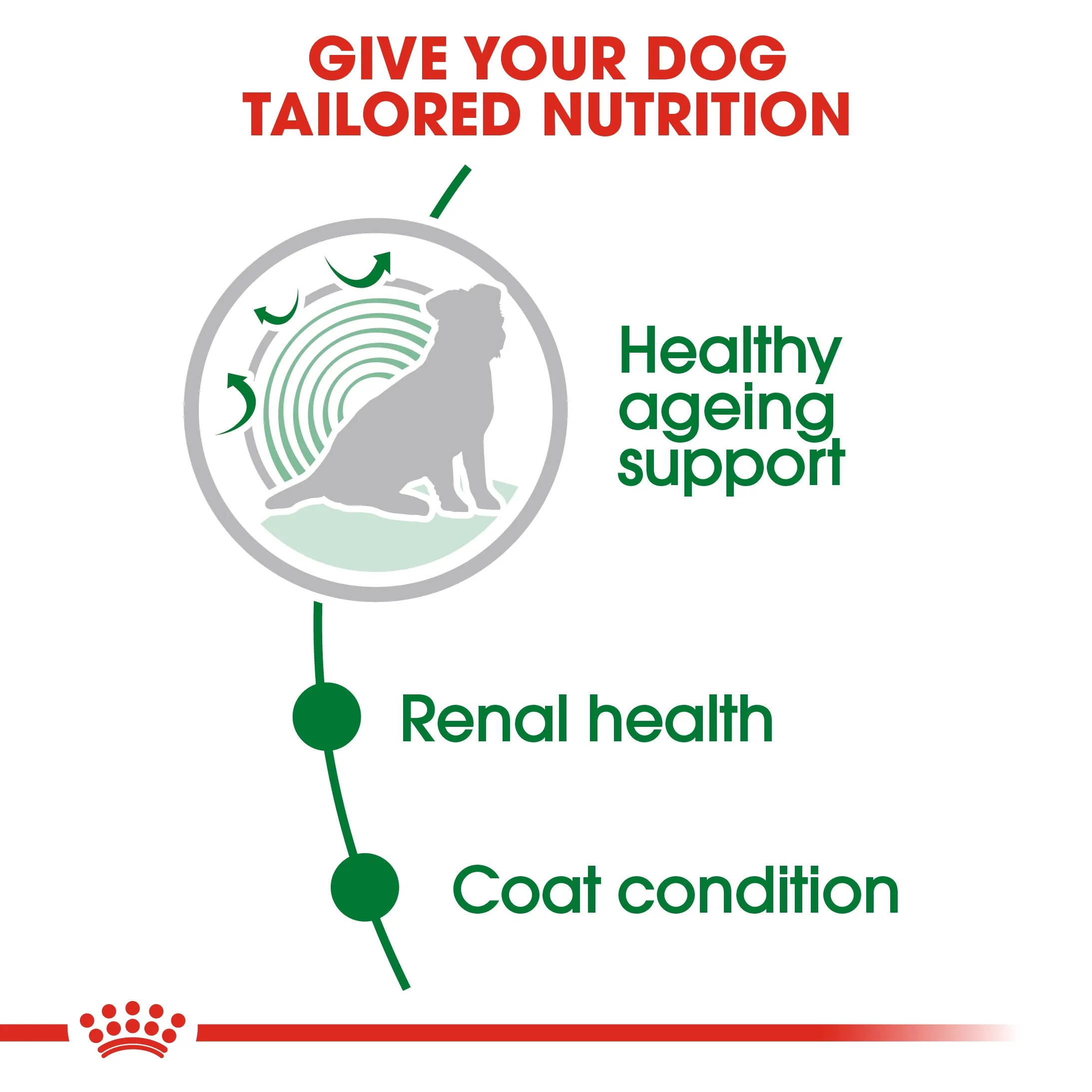 Royal Canin Mini Ageing in Gravy Pouch 85g