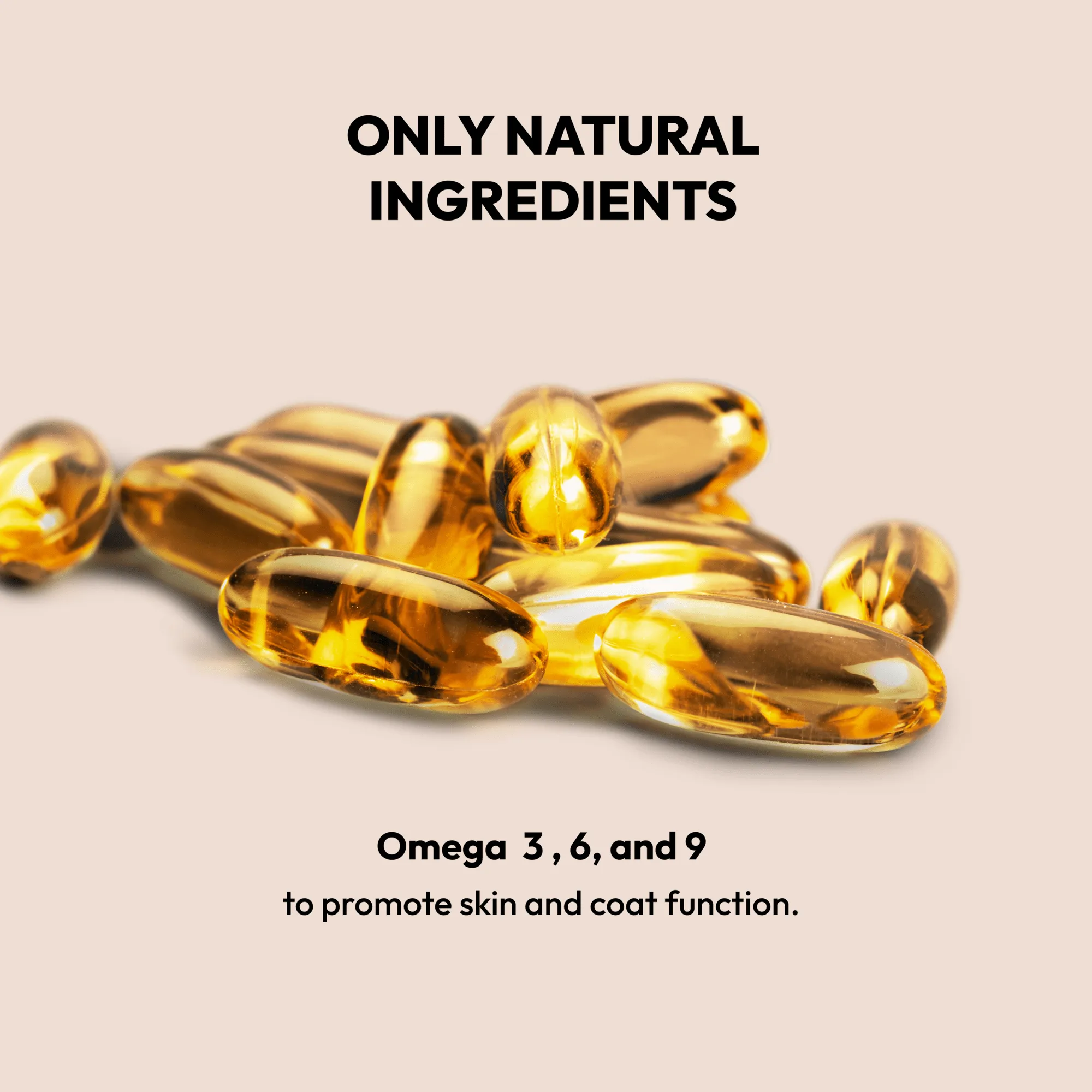 Salmon Oil