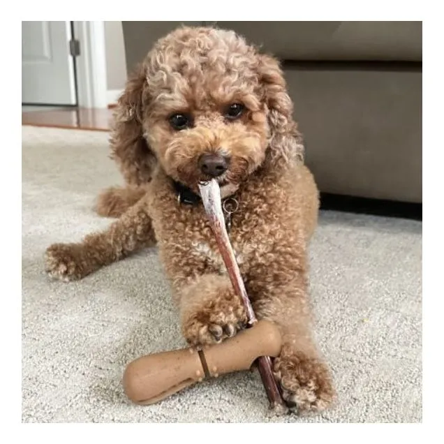 Tall Tails - Bully Stick Holder