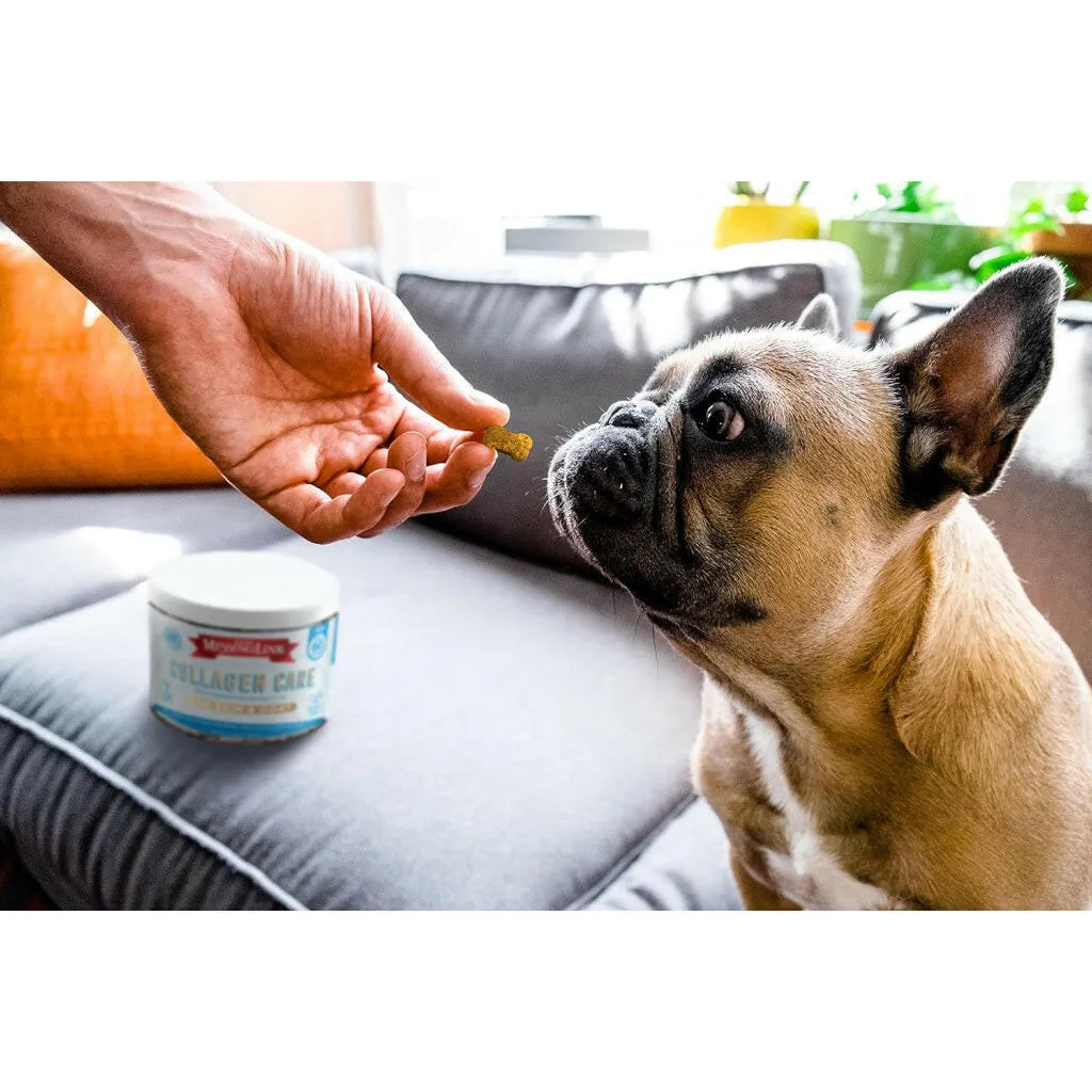 The Missing Link Collagen Care Skin & Coat Soft Chews For Dogs (60 count)