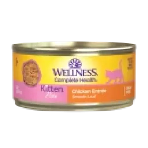 Wellness Kitten Chicken Pate Wet Cat Food