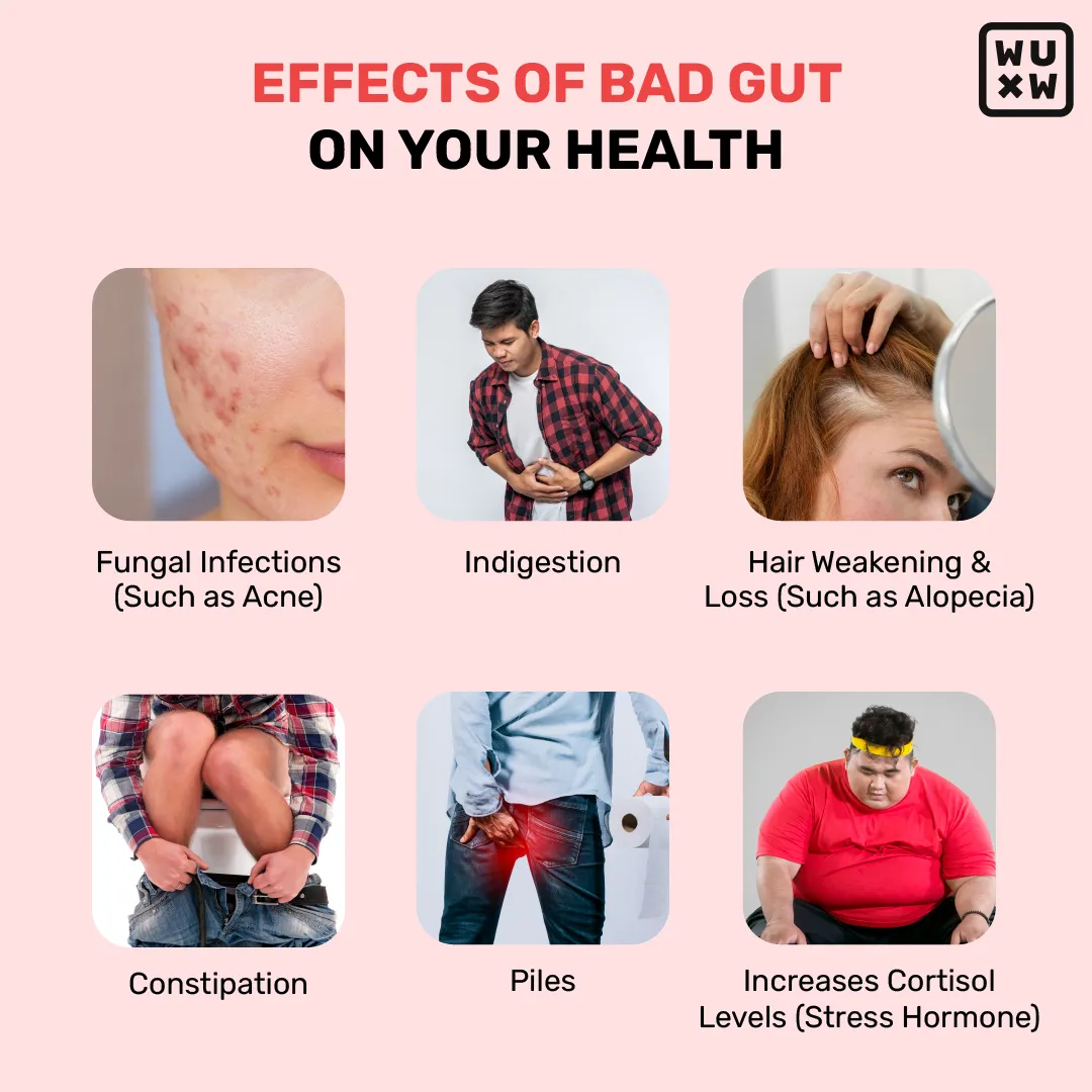 What's Up Gut Health Gummies