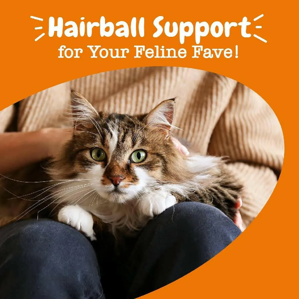 Zesty Paws Hairball Bites Salmon Flavored Chews for Cats (60 ct)